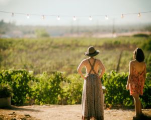 Vin en Crète orientale